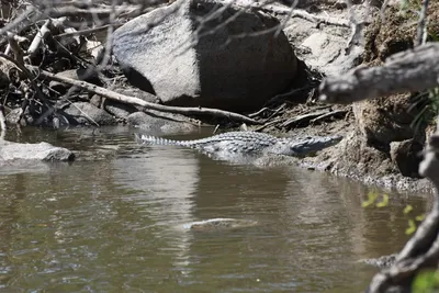 DSC_3479 (Large).JPG